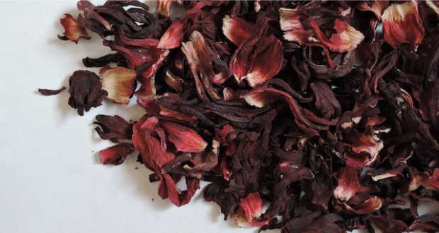 hibiscus chá